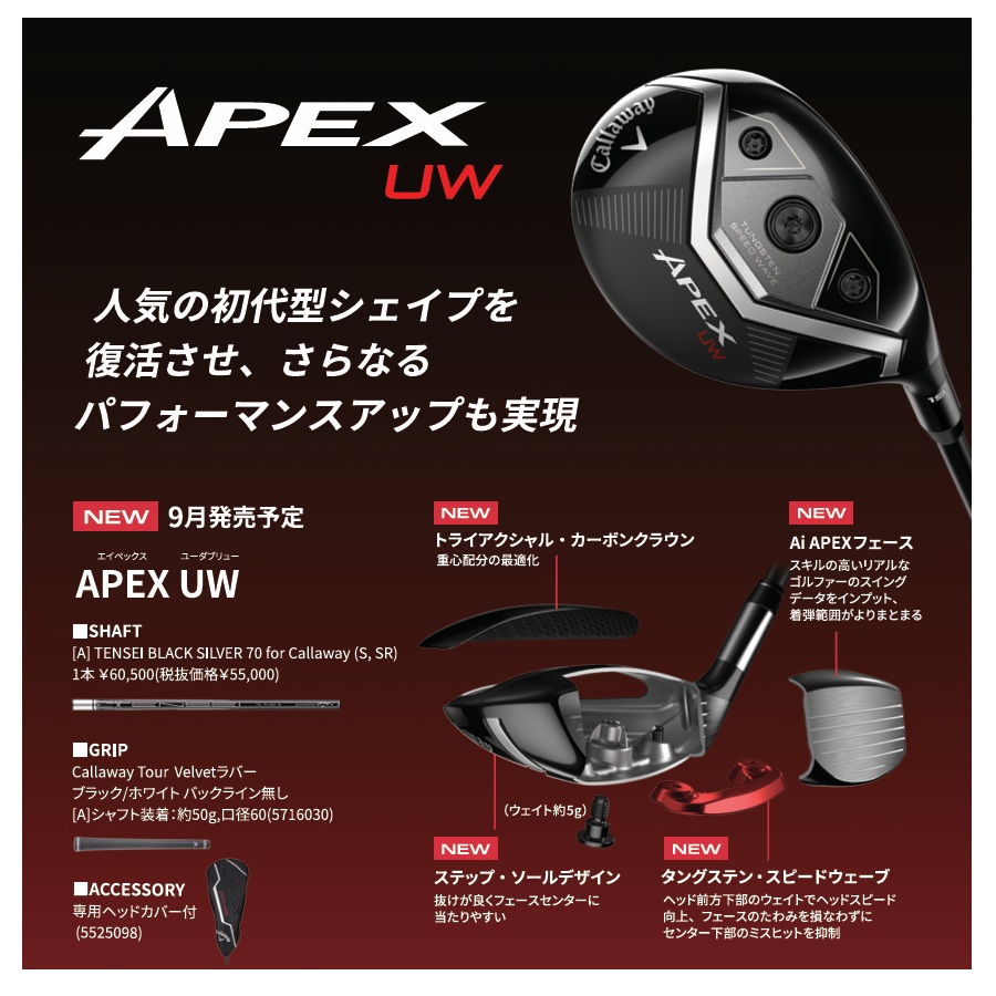 日本仕様 キャロウェイ 2025 (2026) APEX UW エイペックス